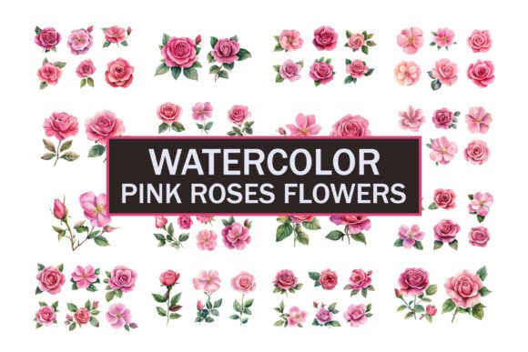 Download Hand Painted Roses - Premium Resources