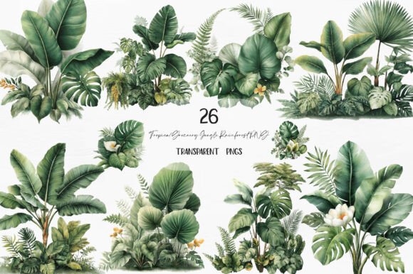 Download Tropical Greenery Jungle Rainforest PNG - Jungle Collection