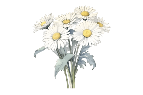 Download Watercolor Daisy Bouquet Sublimation - Bouquet Collection
