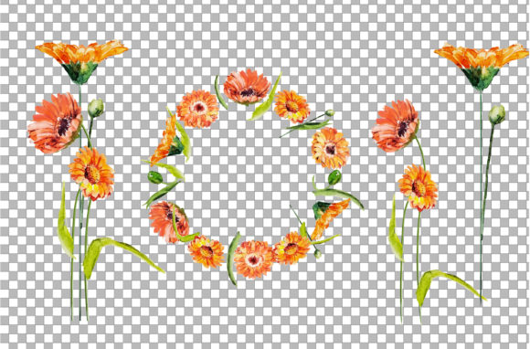 Download Watercolor Flower Bouquet and Frame Clip - Bouquet Collection