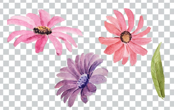 Download Watercolor Flower Bouquet and Frame Clip - Bouquet Collection